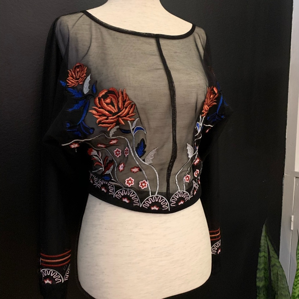 Hippie Laundry Sheer Embroidered Top